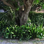 Apartamento A Marina *